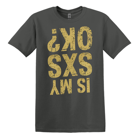 Is My SXS OK? Tee